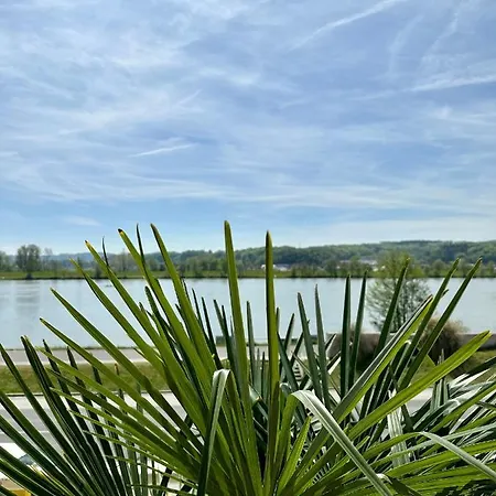 Johnys Jungle מרבאך אן דר דונאו