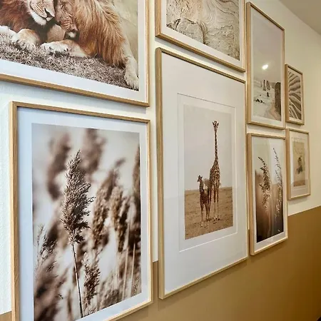 Johnys Jungle 3* מרבאך אן דר דונאו