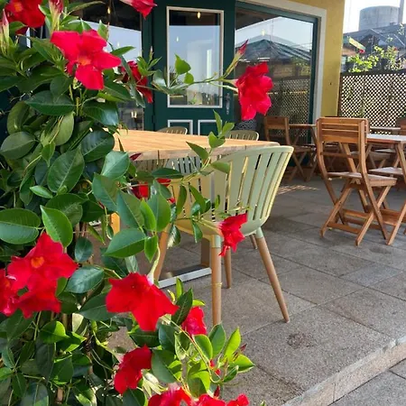 לינה וארוחת בוקר Johnys Jungle מרבאך אן דר דונאו