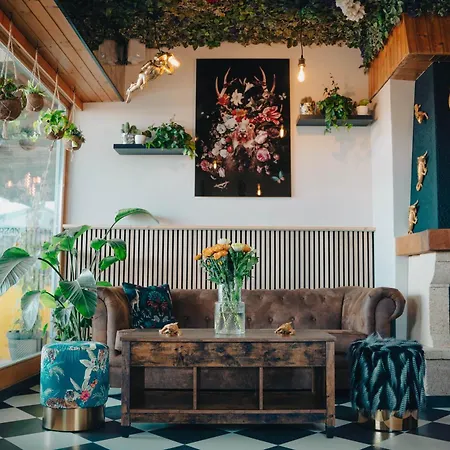 Johnys Jungle فندق مبيت وإفطار 3*