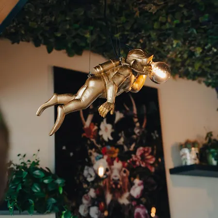 Johnys Jungle מרבאך אן דר דונאו