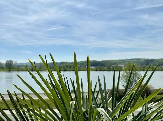 Johnys Jungle Marbach an der Donau