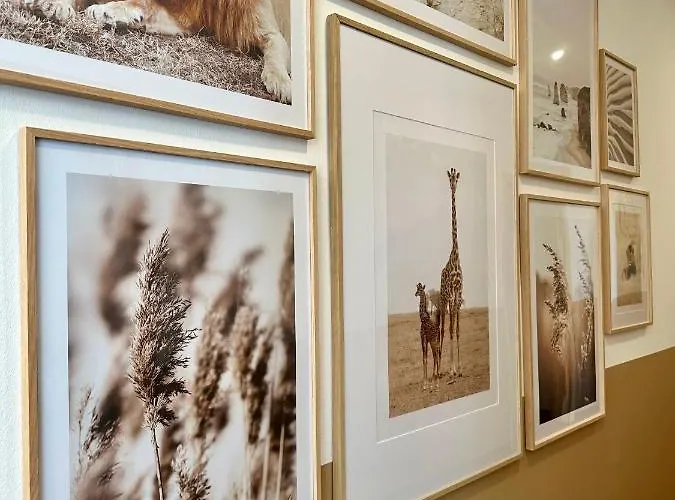 Johnys Jungle 3* Marbach an der Donau