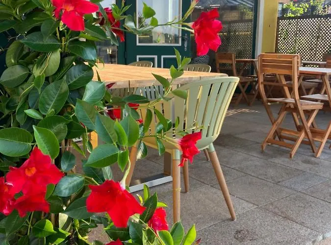 Nocleg ze śniadaniem Johnys Jungle Marbach an der Donau