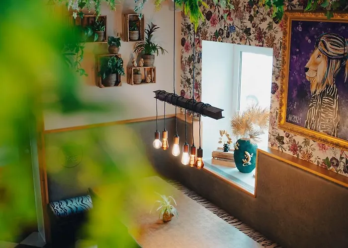 Johnys Jungle Nocleg ze śniadaniem 3*