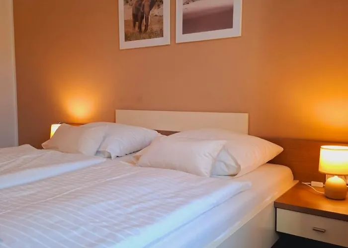 Nocleg ze śniadaniem Johnys Jungle 3*